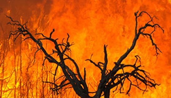 New Future Fund to fight future disasters