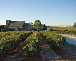 Australia’s most beautiful wine-producing region: the Clare Valley