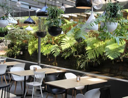 It was just over 50 years ago