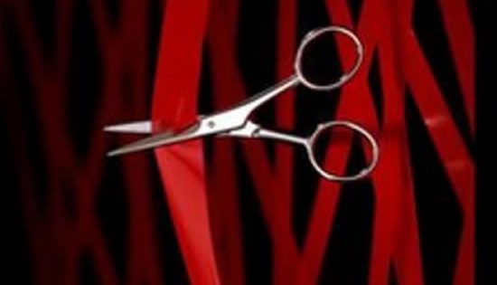 Red tape taskforce gets green light