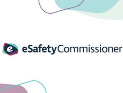 Commissioner pulls plug on websites