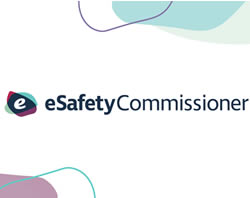 Commissioner pulls plug on websites