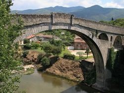 Lucking it in for Céret’s cherry festival