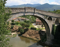 Lucking it in for Céret’s cherry festival