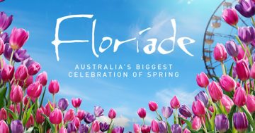 Floriade in bloom: Australia’s significant spring celebration