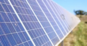 ACT renewables reach world stage