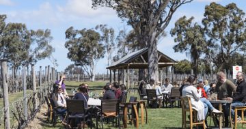 Enjoy the many spring events in the Yass Valley