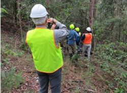 New forest program growing on trees