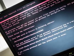 Smart Online Week takes on scammers
