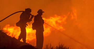 The heat is on: Why is it the bushfire season is starting so early?