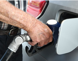 ACCC pulls plug on petrol prices