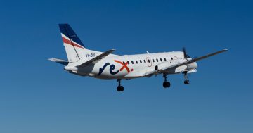 Rex to keep flying to regions as government provides bookings guarantee