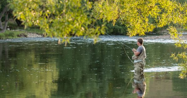 Prime Monaro trout-fishing spots dealt a blow by DPI restocking decision