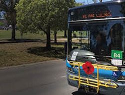 Veterans pick up free ride to ceremonies