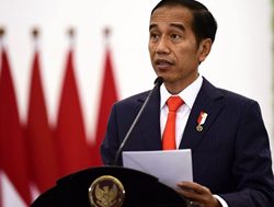 INDONESIA: Widodo to focus on PS reform