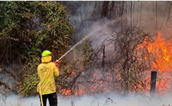 ACT firies face NSW bushfires