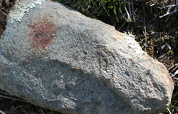 Ancient stones rock heritage list