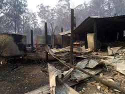 Helping hand for fire survivors
