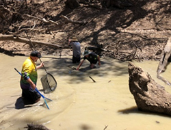 Anglers save fish out of water