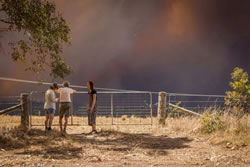 Free replacement of ID documents lost in bushfires