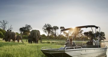 Africa, Kangaroo Island and more…