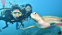 Queensland tourism blitz sweeps Europe