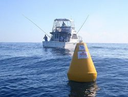 Fish finding devices take to the water