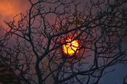 Summer forecast: More of the same