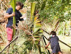 Botanic Gardens in full bloom at tourism awards
