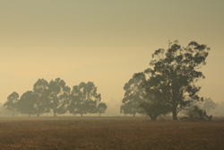 Smoke continues to choke Canberra