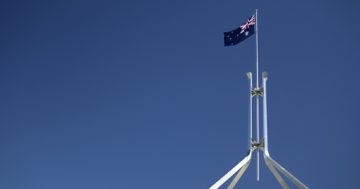 Political trust hits 50-year low