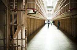 Indigenous artwork released from jail