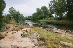 Basin Commissioner posts first report