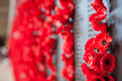 War Memorial enlists consultation