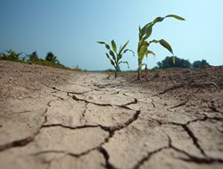 Murray Basin chief waters down protest
