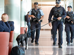 Federal Police to take up airport arms