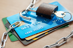 DHS to support ID theft victims