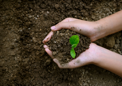 Message planted for World Soil Day