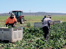 New plan to grow rural workforce