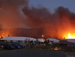 Recovery guide for bushfire victims
