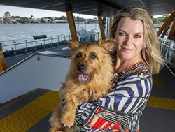 CityCats to carry canine customers
