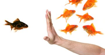 Fair dinkum: How prejudice is still alive and well in Australia
