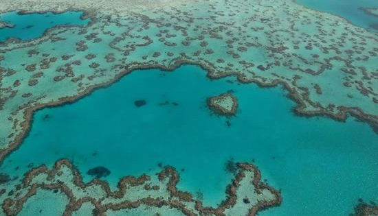 Queensland magic at the Great Barrier Reef and the Whitsundays