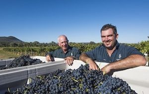 Riesling continues its march in Mudgee