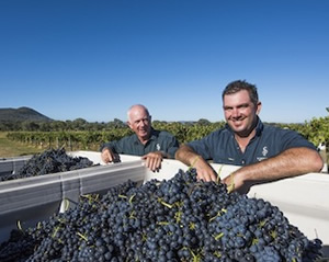 Riesling continues its march in Mudgee