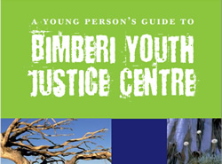 Inspector to keep eye on young offenders