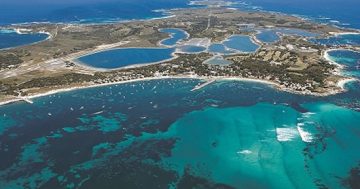 Some holiday destinations spread 2019 festive cheer