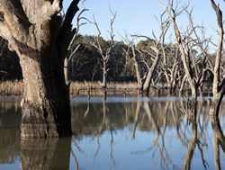 Victoria leads Basin protections push