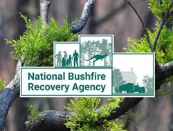 New bushfire Agency website goes live