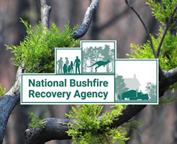 New bushfire Agency website goes live